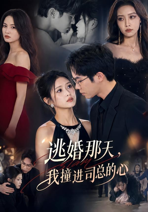 逃婚那天,我撞进司总的心(61集) 逃婚那天,我撞进司总的心(61集)第一集