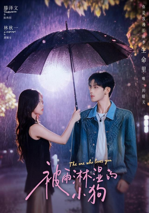 被雨淋湿的小狗（80集）高分佳作免费看