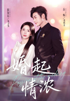 婚起情浓(99集) 婚起情浓(99集)在线看