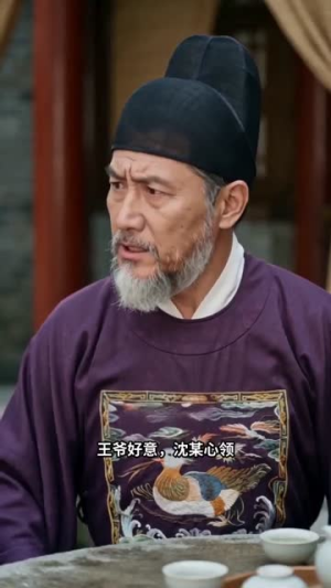 我知王爷心（30集）超好看的短剧