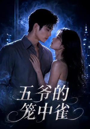 五爷的笼中雀（72集）在线免费观影
