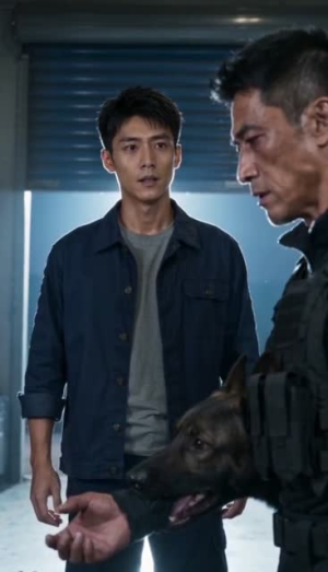 犬语翻译官（41集）短剧越看越精彩