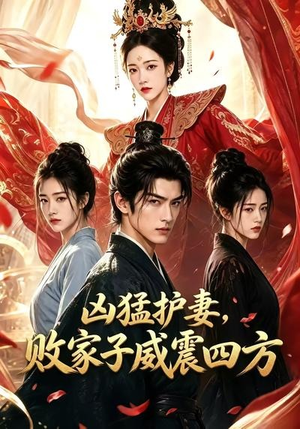 凶猛护妻，败家子威震四方（85集）精彩短剧下载