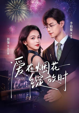 爱在烟花绽放时（60集）爱上了这部剧了