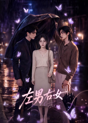 左男右女（63集）短剧全集完整版