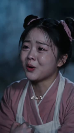 捕快与神偷共惊京华(50集) 捕快与神偷共惊京华(50集)集免费看短剧