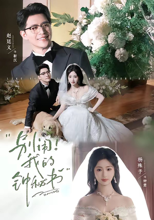 别闹！我的钟秘书（84集）高清无码免费看